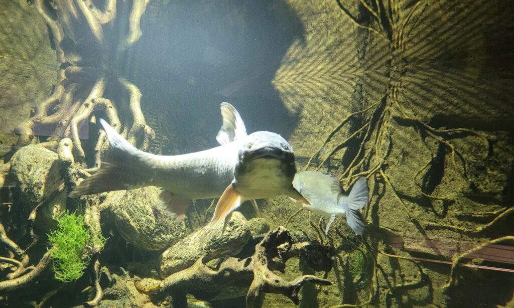 Acquario Biosfera di Parma