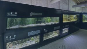 Acquario Biosfera di Parma – Vista ravvicinata della vasche