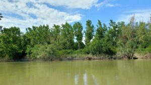 Isola Maria Luigia – Paesaggio
