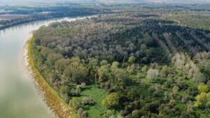 Isola Maria Luigia – Panorama aereo 2
