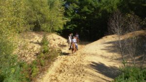 Parco della Golena del Po – Sentiero