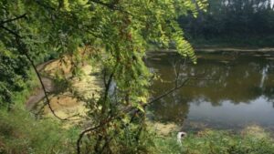 Parco della Golena del Po – Paesaggio fluviale