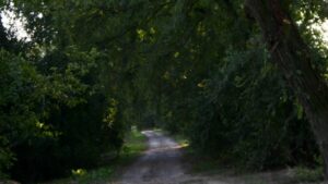 Parco della Golena del Po – Sentiero 2