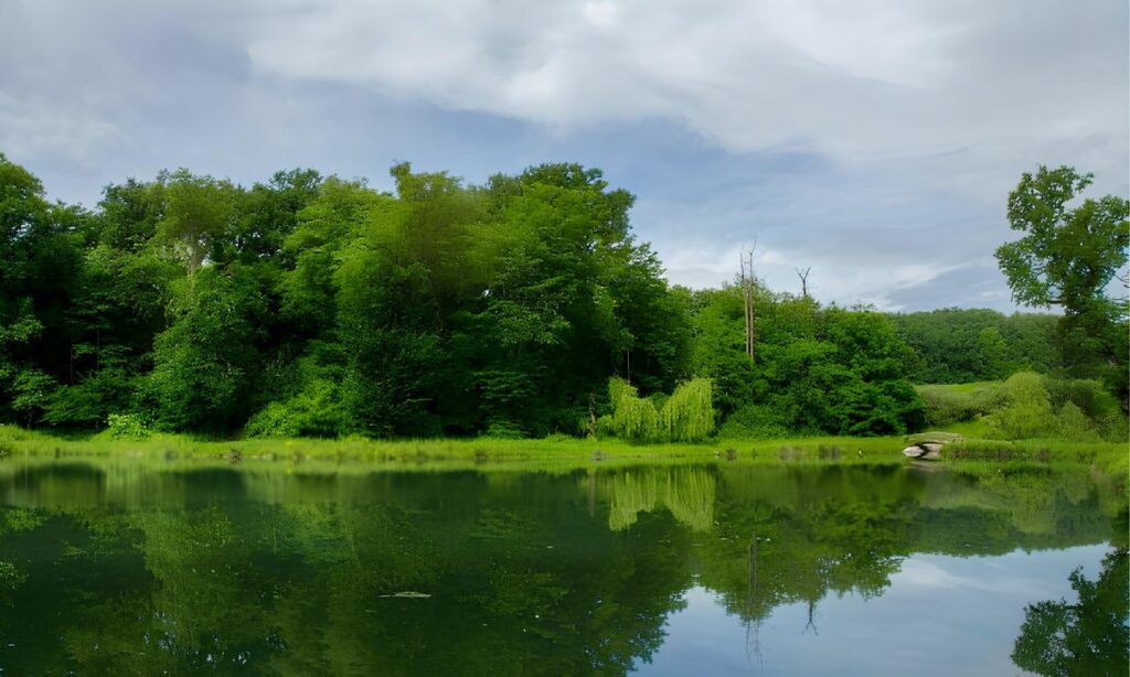Riserva Naturale Orientata Parma Morta