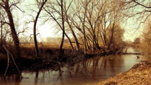 Riserva Naturale Orientata della Parma Morta – Tramonto