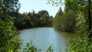 Riserva Naturale Orientata della Parma Morta – Lago della Riserva