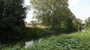 Riserva Naturale Orientata della Parma Morta – Vista del torrente Parma