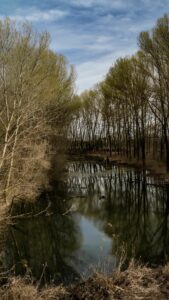 Riserva Naturale Orientata della Parma Morta – Vista del Parco