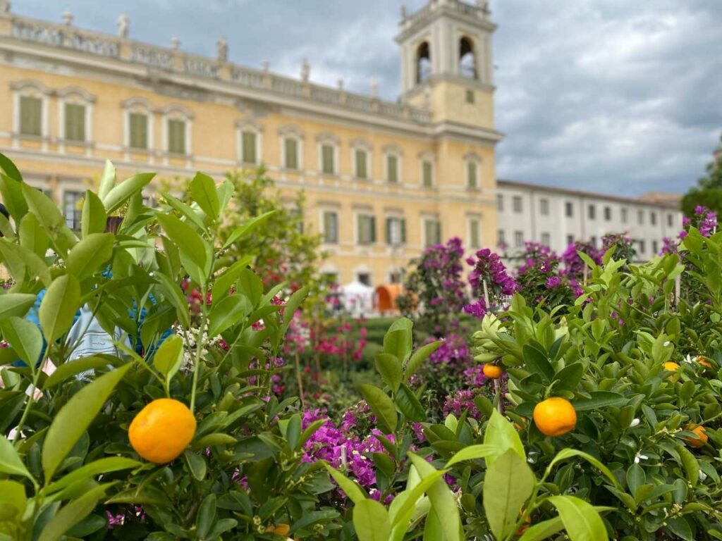 Reggia di Colorno – Maria Luigia