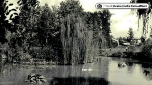 Reggia di Colorno – Foto del giardino (1960)