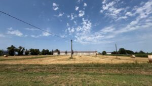 Venaria Reale – Anfiteatro esterno