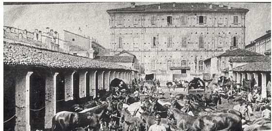 Biblioteca Civica A.E. Mortara – La nascita dell’istituzione
