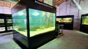 Itinerario naturalistico Bocca della Parma – Interno Acquario