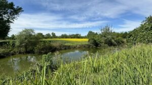 Itinerario naturalistico Bocca della Parma – Visuale del Parco